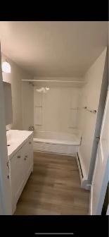 Lease Takeover — Renovated 2 Bedroom Apartment - Photo 3