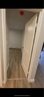 Lease Takeover — Renovated 2 Bedroom Apartment - Photo 6