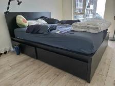 IKEA MALM Queen Bed Frame with 4 Storage Drawers - Black Brown