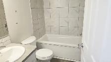 Cityscape, Calgary NE - 2 Bedroom / 2 Bath Legal Basement - Photo 8