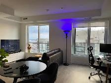 Modern Luxury Tridel BloorVista 1 Bedroom for Rent – BloorWest - Photo 2