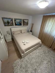 European style cleaning ladies - Photo 8