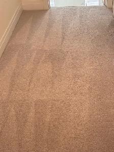 Carpet and upholstery cleaning - Photo 7