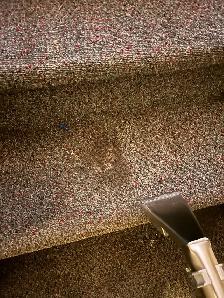 Carpet and upholstery cleaning - Photo 8