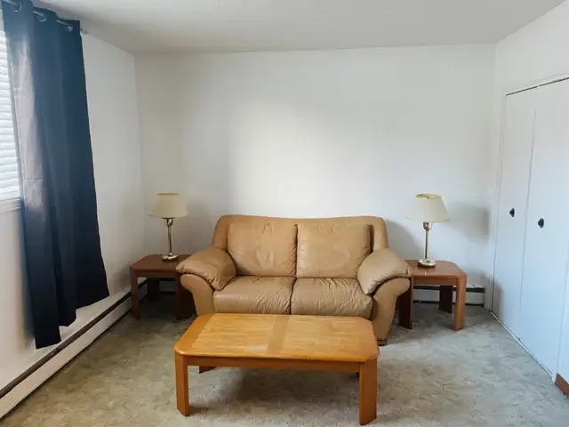 Furnished One BedRm. Suite, Non-Smoking, Eastside suite