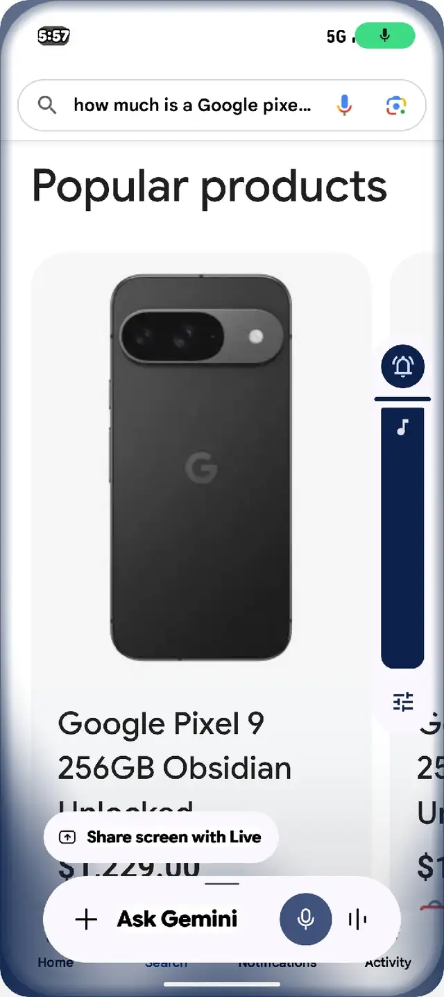 Samsung Google Pixel 9.   5AMB