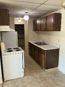 Beautiful 2 Bedroom -top floor - cat friendly - Photo 2