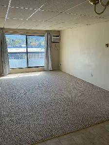 Beautiful 2 Bedroom -top floor - cat friendly - Photo 4