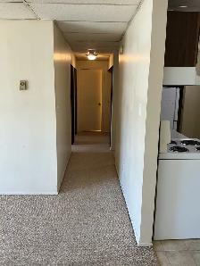 Beautiful 2 Bedroom -top floor - cat friendly - Photo 7