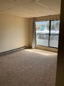 Beautiful 2 Bedroom -top floor - cat friendly - Photo 8