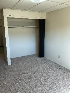 Beautiful 2 Bedroom -top floor - cat friendly - Photo 9