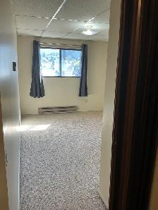 Beautiful 2 Bedroom -top floor - cat friendly - Photo 11