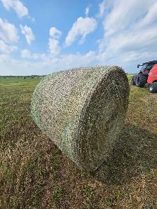 Quality hay for sale - Photo 3