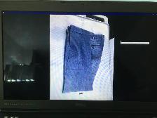 $100 ZEGNA Pant (used: good)