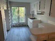 lasalle upper duplex 5 1/2 rent