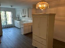 lasalle upper duplex 5 1/2 rent - Photo 2
