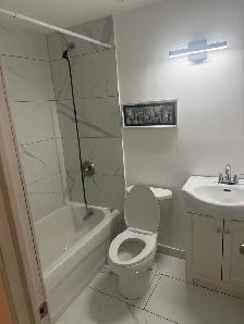 1 bedroom basement apt Markham - Photo 3
