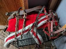 tack room cleanout - Photo 3