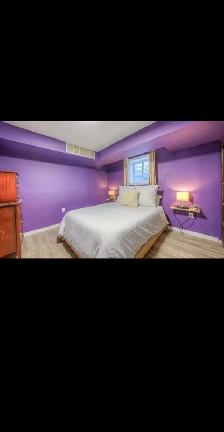 Basement for Rent - Photo 2