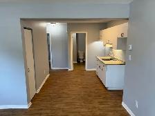 Bourget 2 Bedroom Apartment For Rent !