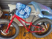 Big Louis fat tire bike - Photo 2