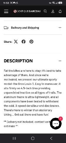 Big Louis fat tire bike - Photo 3