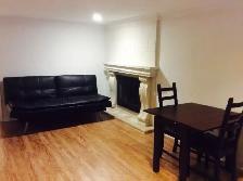 North York Basement Apartment for Rent