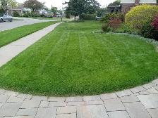 Grass Cutting Lawn Mowing Bolton/Caledon/Brampton Area - Photo 2