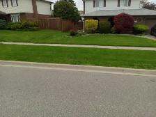 Grass Cutting Lawn Mowing Bolton/Caledon/Brampton Area - Photo 3