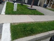 Grass Cutting Lawn Mowing Bolton/Caledon/Brampton Area - Photo 4