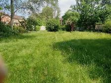 Grass Cutting Lawn Mowing Bolton/Caledon/Brampton Area - Photo 6