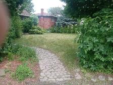 Grass Cutting Lawn Mowing Bolton/Caledon/Brampton Area - Photo 8