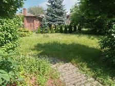 Grass Cutting Lawn Mowing Bolton/Caledon/Brampton Area - Photo 9