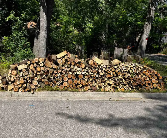 FREE FIREWOOD