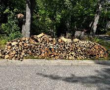 FREE FIREWOOD