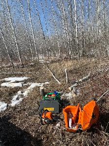 fallen tree/branch removal