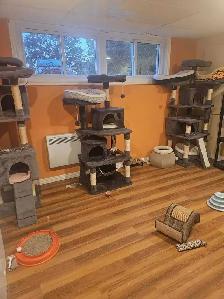 Pension pour chats et oiseaux en milieu familiale - Photo 8