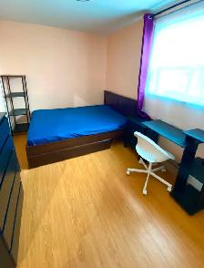 Fully Furnished rooms 4 females near Fairview Mall/Don mills - Photo 7