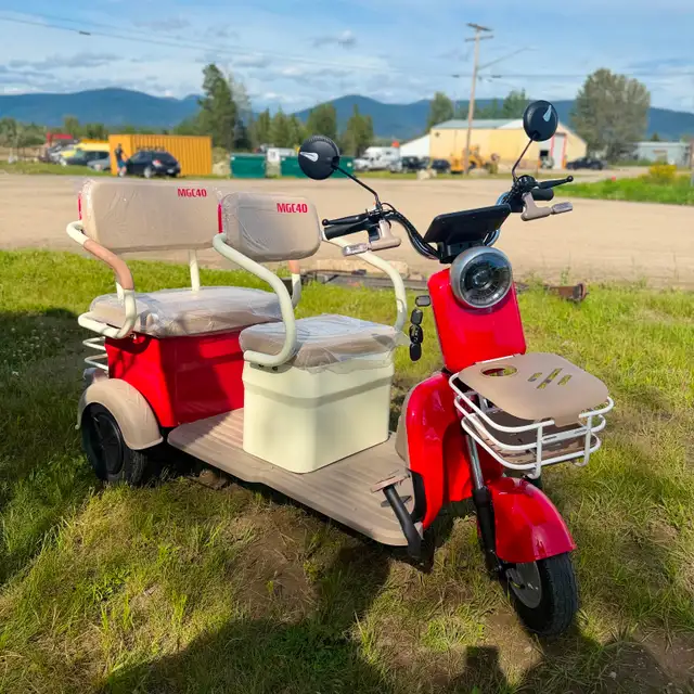 ELECTRIC TRIKE​