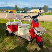ELECTRIC TRIKE​