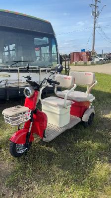ELECTRIC TRIKE​ - Photo 2