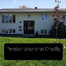 Garderie pour chats et oiseaux - Photo 2