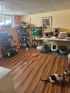 Garderie pour chats et oiseaux - Photo 7