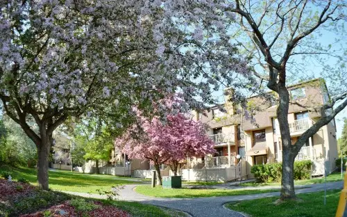 2 Bedrooms, 2 Bath apartment for rent in Barrhaven