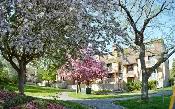 2 Bedrooms, 2 Bath apartment for rent in Barrhaven