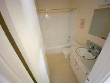 Apartment For Rent Palmerston - Photo 2