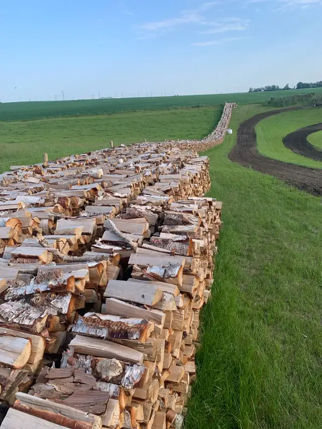 Seasoned Birch Firewood/ Free Delivery