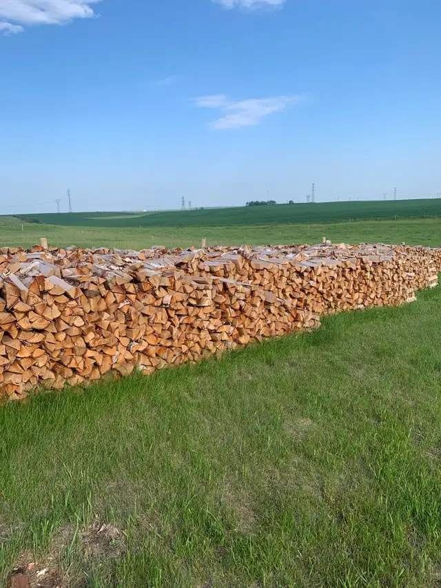 Seasoned Birch Firewood/ Free Delivery