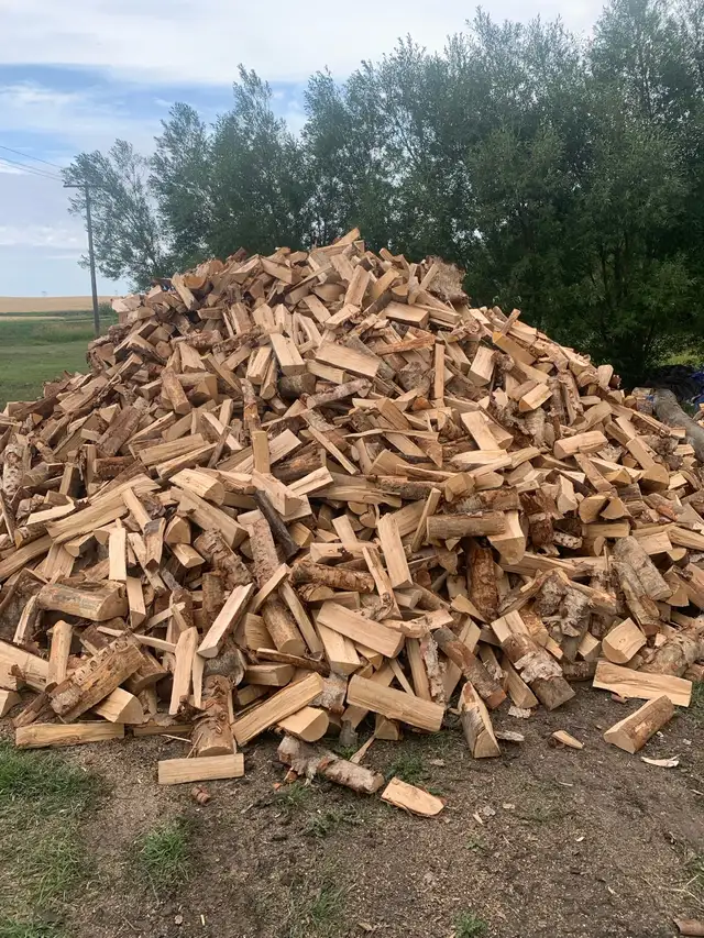 Seasoned Birch Firewood/ Free Delivery