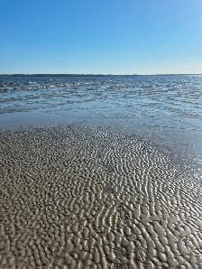 Build ready costal lot!